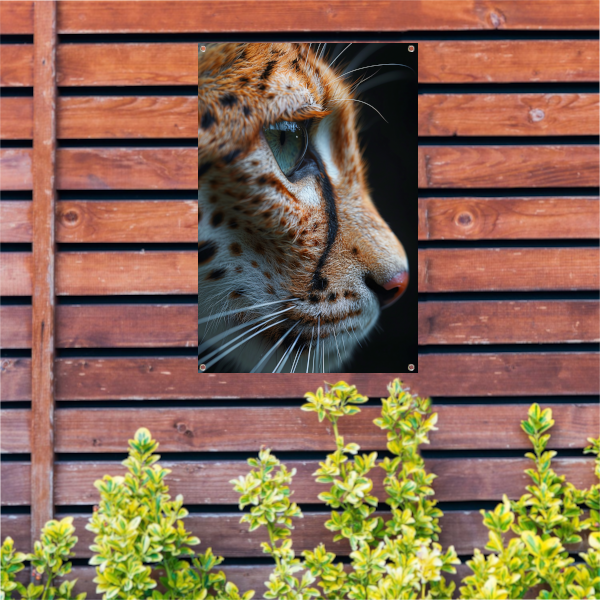 Intense blik van een luipaard in close-up tuinposter