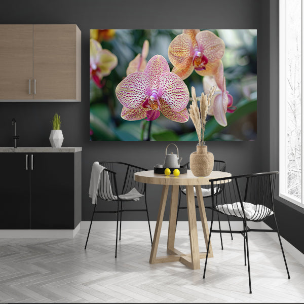 Close-up van bloeiende orchidee met bladeren poster