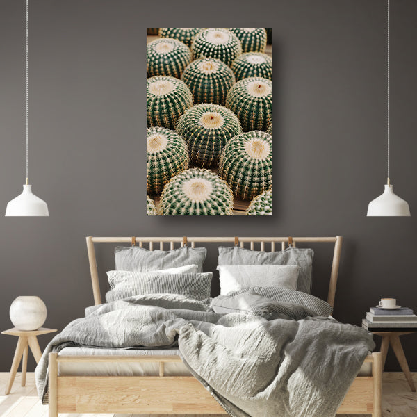 Veel ronde cactussen in close-up acrylglas