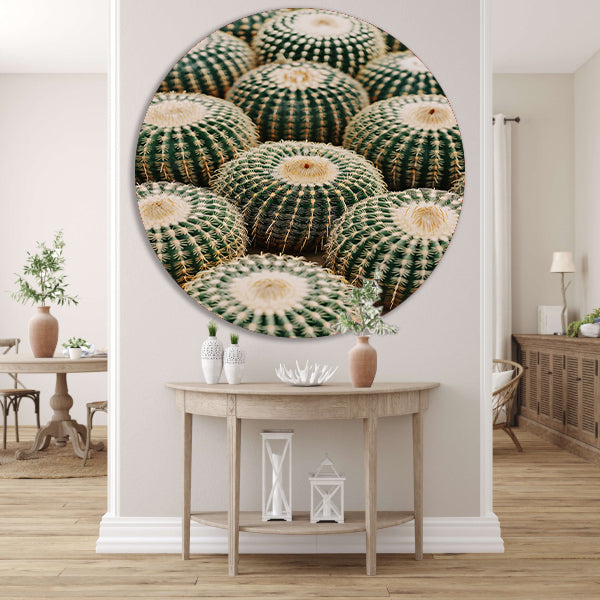 Veel ronde cactussen in close-up aluminium muurcirkel