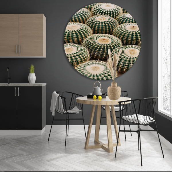Veel ronde cactussen in close-up aluminium muurcirkel