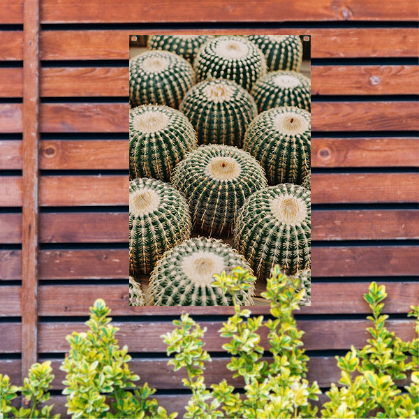 Veel ronde cactussen in close-up tuinposter