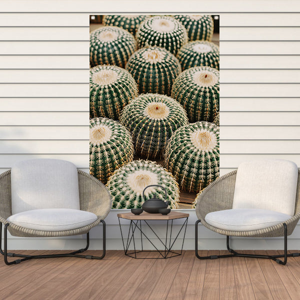Veel ronde cactussen in close-up tuinposter