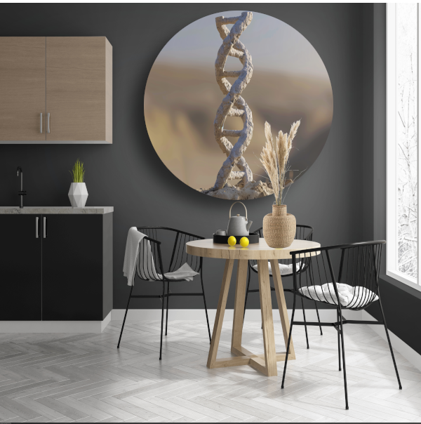 DNA-structuur op steen aluminium muurcirkel