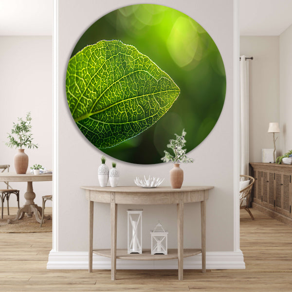 Gedetailleerde close-up van een groen blad forex muurcirkel
