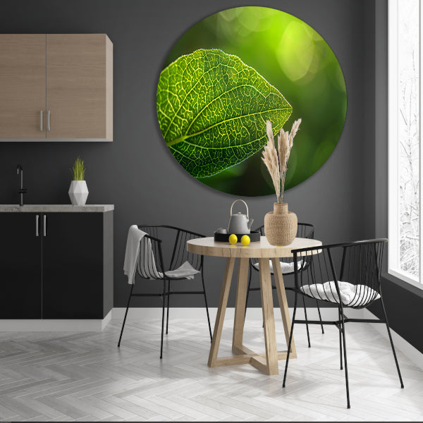 Gedetailleerde close-up van een groen blad forex muurcirkel