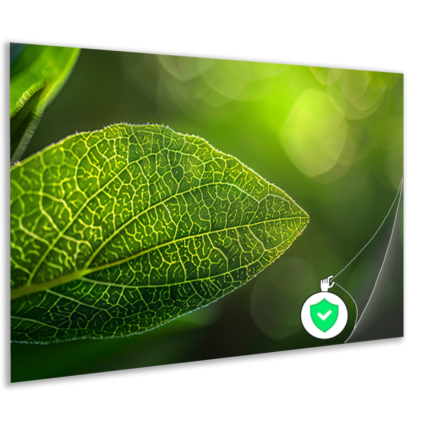 Gedetailleerde close-up van een groen blad poster