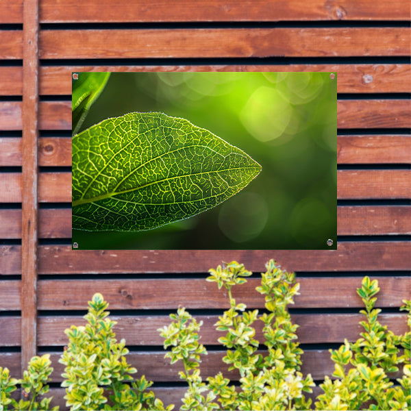 Gedetailleerde close-up van een groen blad tuinposter