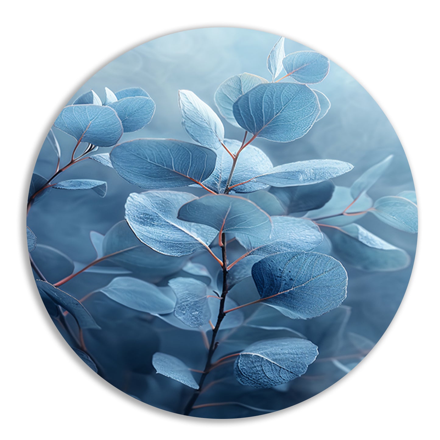 Elegante blauwe eucalyptus bladeren in minimalistische stijl forex muurcirkel