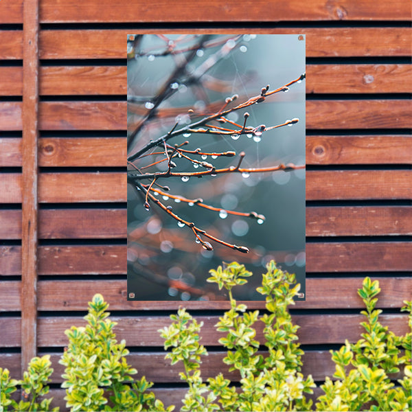Glinsterende dauwdruppels op takken tuinposter