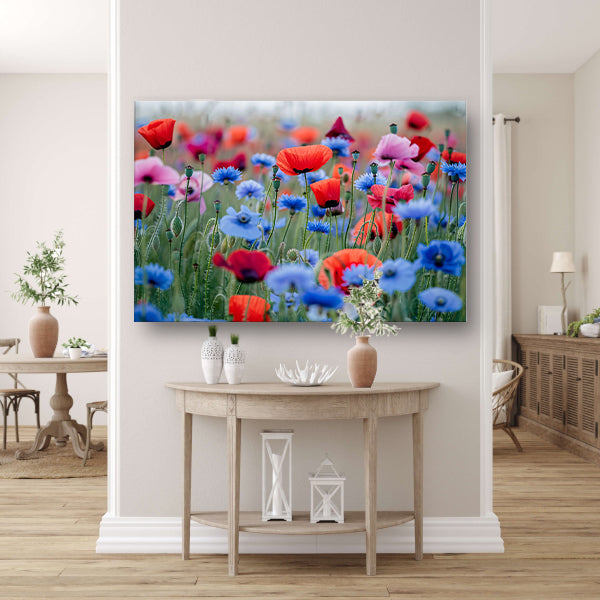 Een levendig veld van papavers en korenbloemen poster