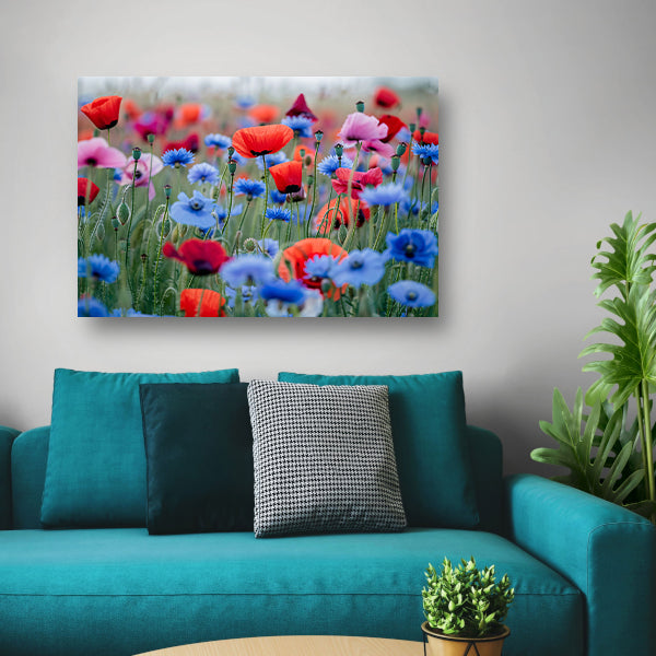 Een levendig veld van papavers en korenbloemen poster