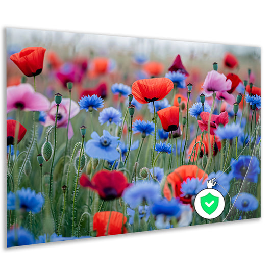 Een levendig veld van papavers en korenbloemen poster