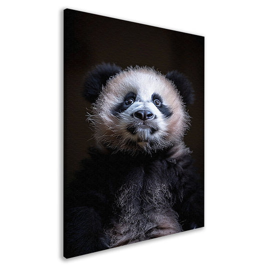 Portret van een Nieuwsgierige Panda canvas
