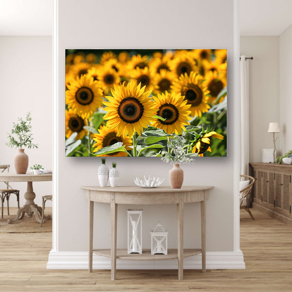 Fraaie zonnebloemen in volle bloei poster