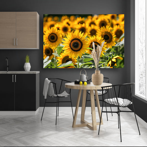 Fraaie zonnebloemen in volle bloei poster