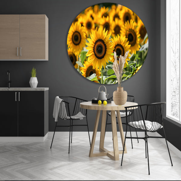 Fraaie zonnebloemen in volle bloei forex muurcirkel