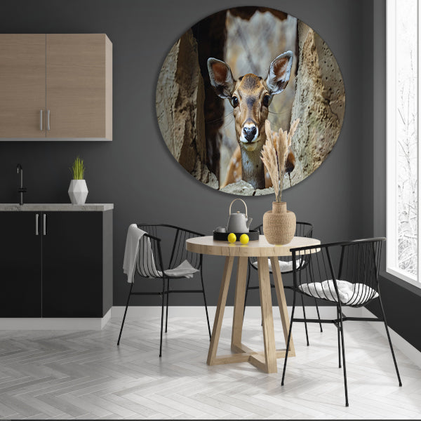 Zwart-wit portret van nieuwsgierig hert aluminium muurcirkel