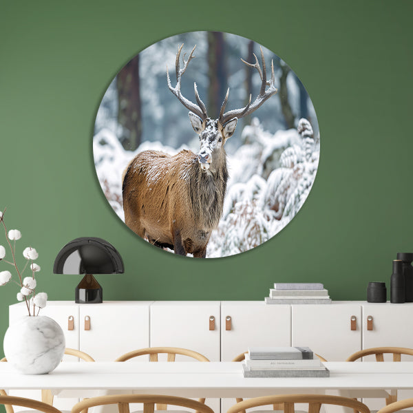 Hert met imposant gewei in winterlandschap forex muurcirkel