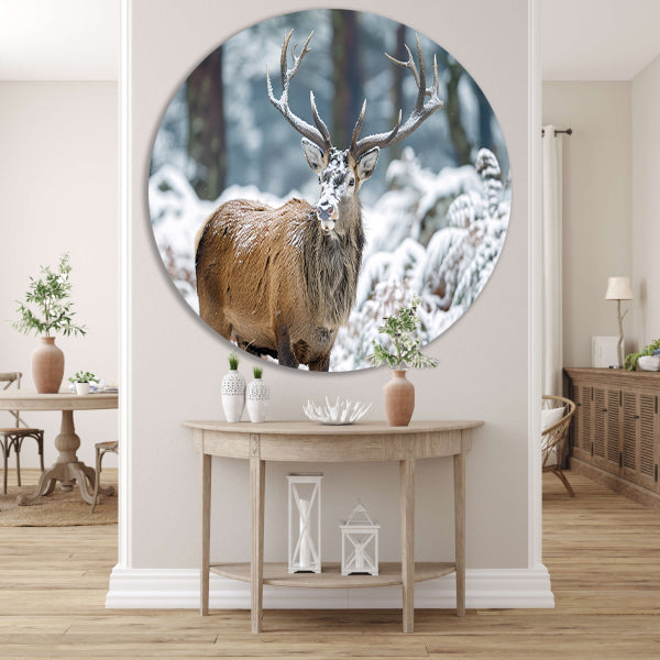Hert met imposant gewei in winterlandschap forex muurcirkel