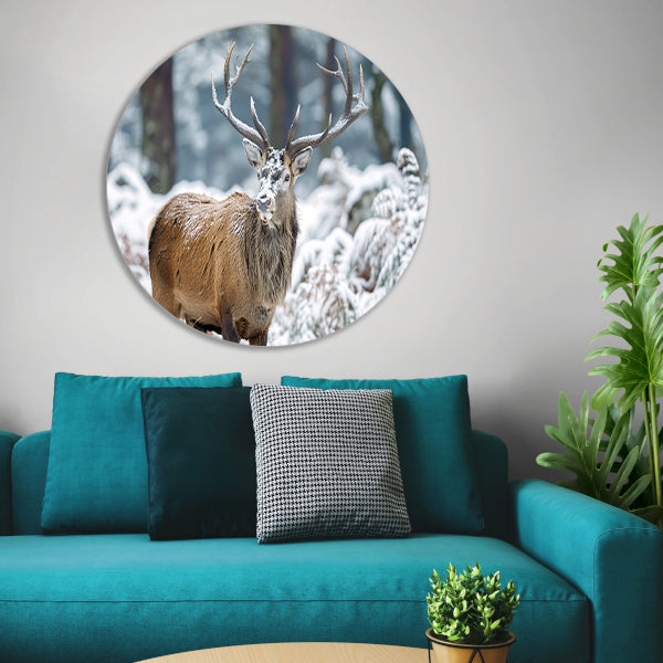 Hert met imposant gewei in winterlandschap forex muurcirkel