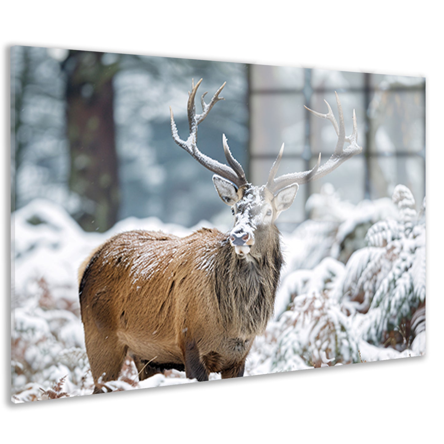 Hert met imposant gewei in winterlandschap acrylglas