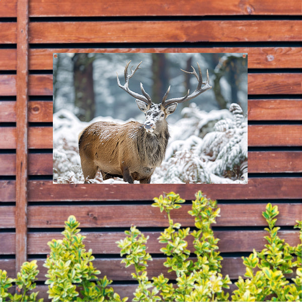 Hert met imposant gewei in winterlandschap tuinposter