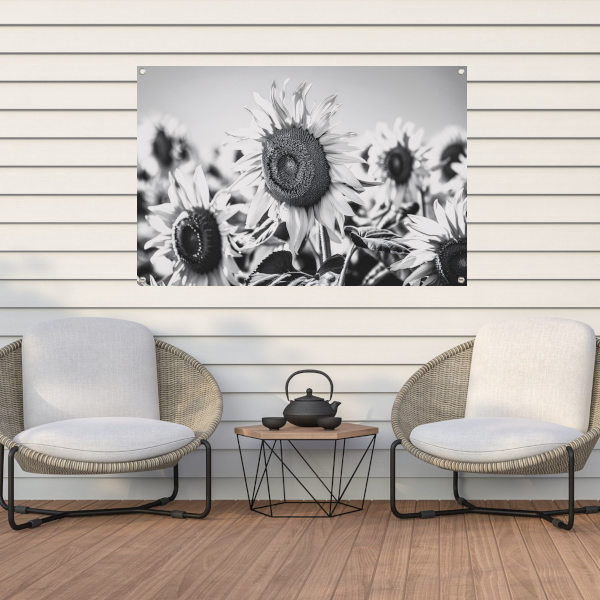 Elegante zwart-wit zonnebloemen, natuur in monochroom tuinposter