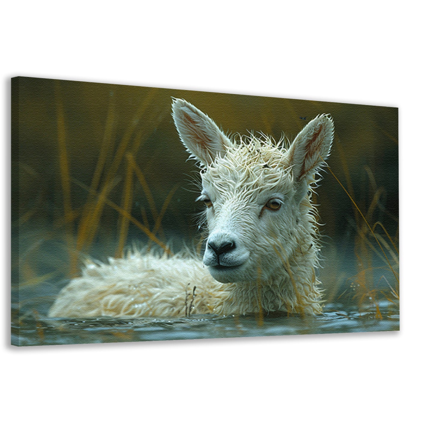 Schaap dobbert vredig in meer canvas