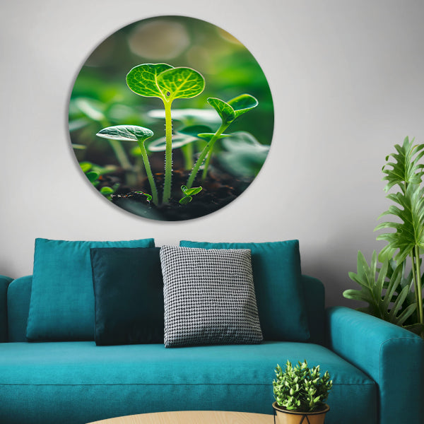 Close-up van jonge plantjes forex muurcirkel