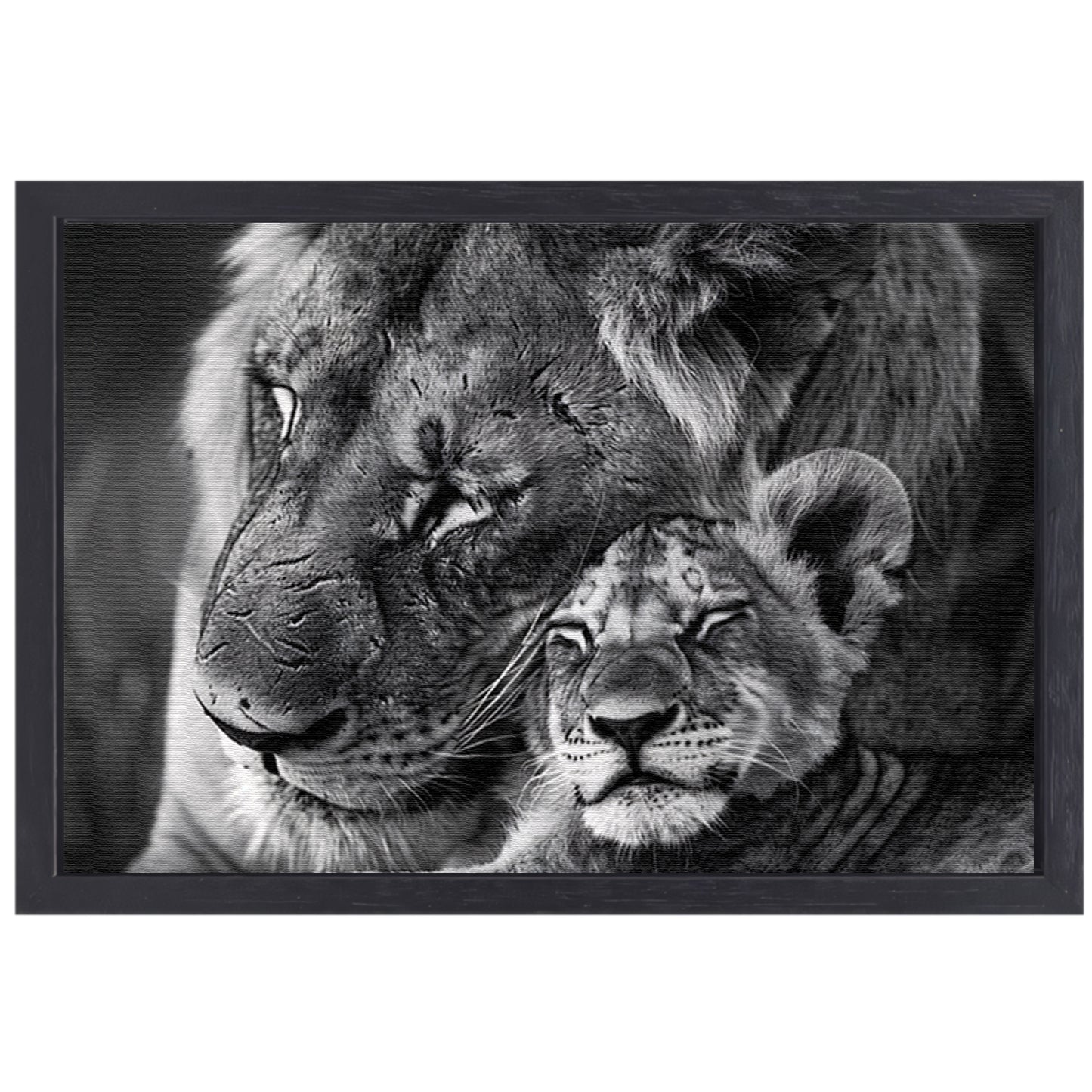 Knuffelende leeuwen in zwart-wit fotografie canvas met baklijst