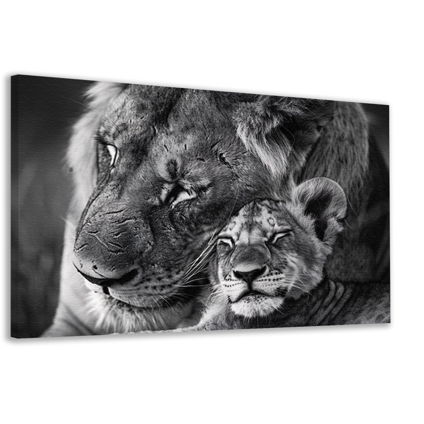 Knuffelende leeuwen in zwart-wit fotografie canvas