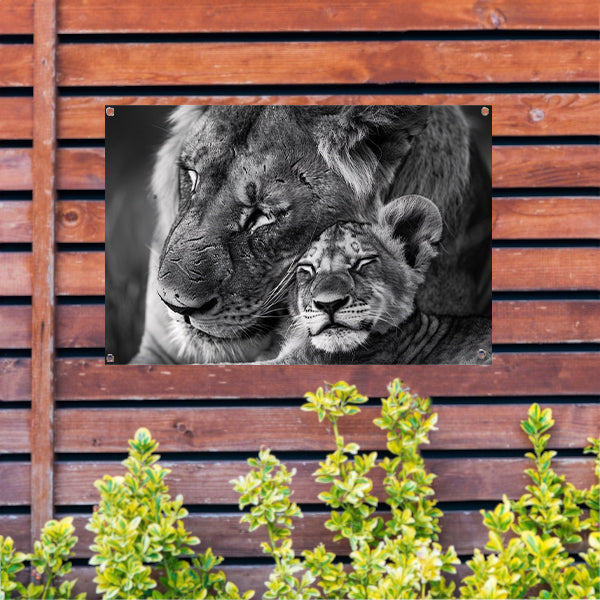 Knuffelende leeuwen in zwart-wit fotografie tuinposter