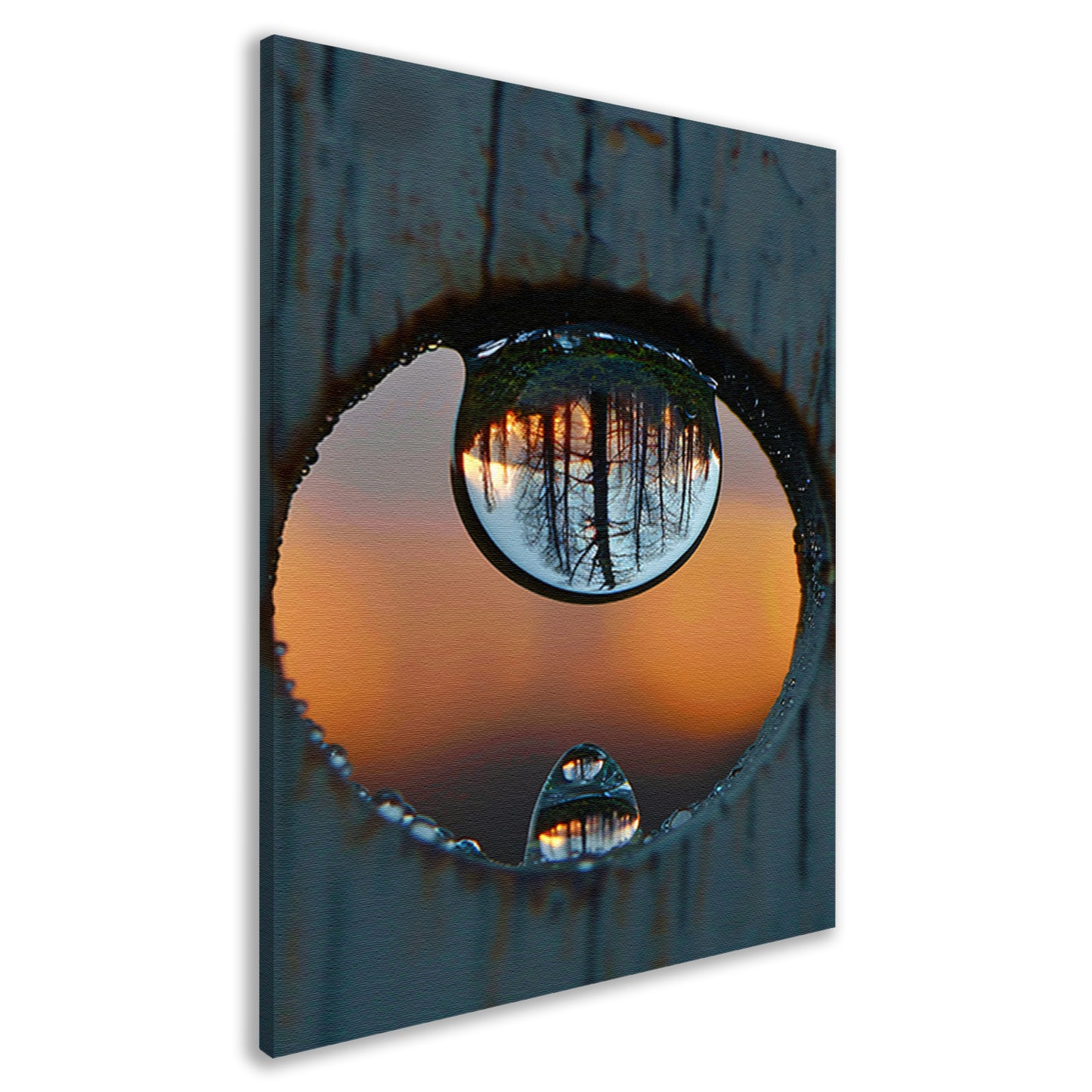 Reflectie van een Bos in een Dauwdruppel canvas