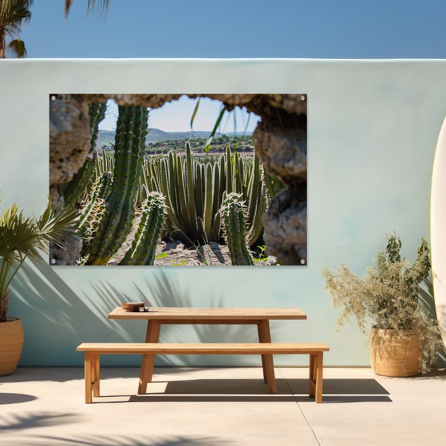 Cactussen in het landschap tuinposter