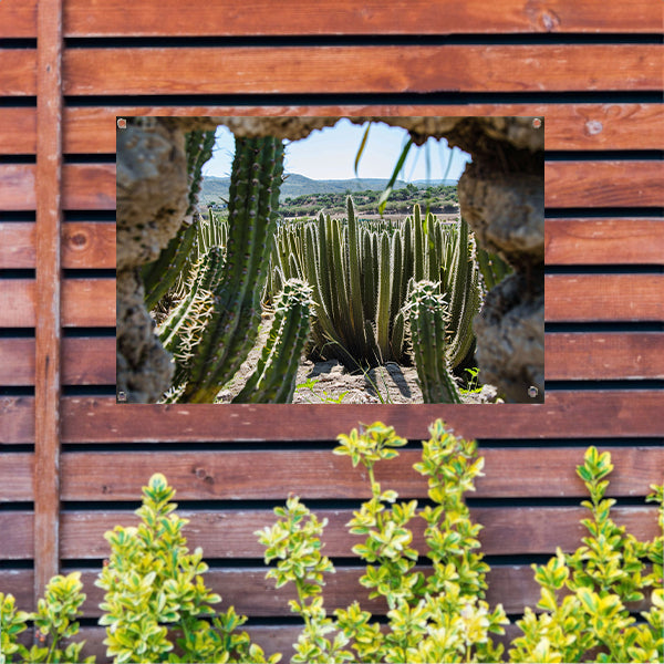 Cactussen in het landschap tuinposter