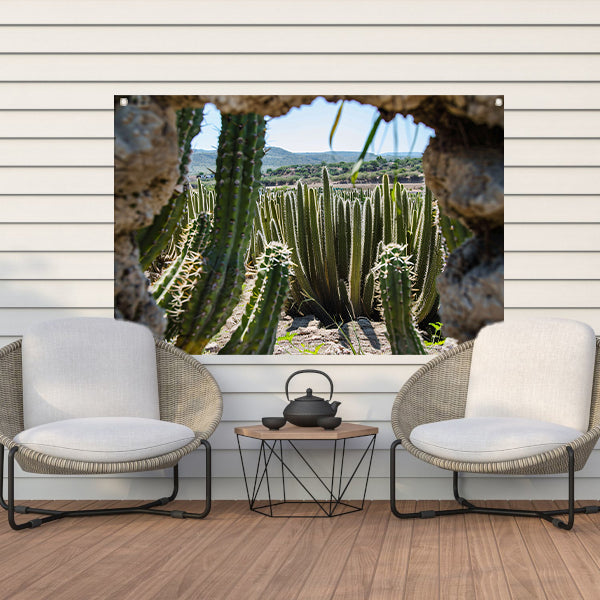 Cactussen in het landschap tuinposter