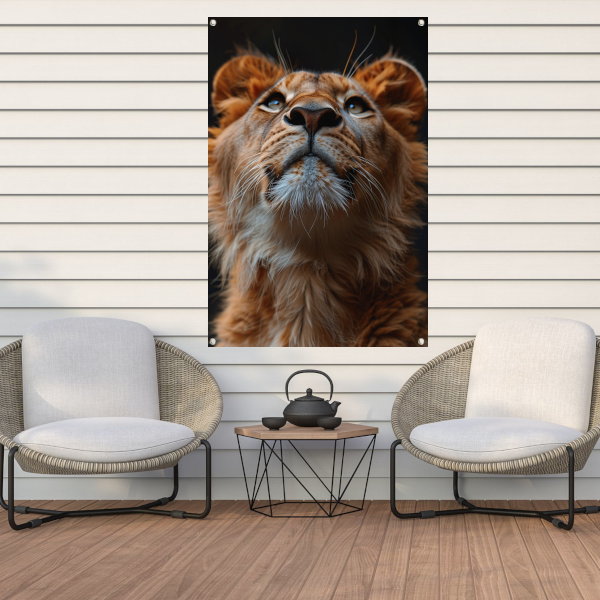 Majestueuze leeuw met intense blik omhoog tuinposter