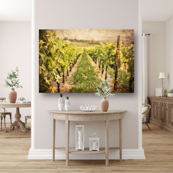Wijngaard in sepia - Stille getuige van tijd canvas met baklijst