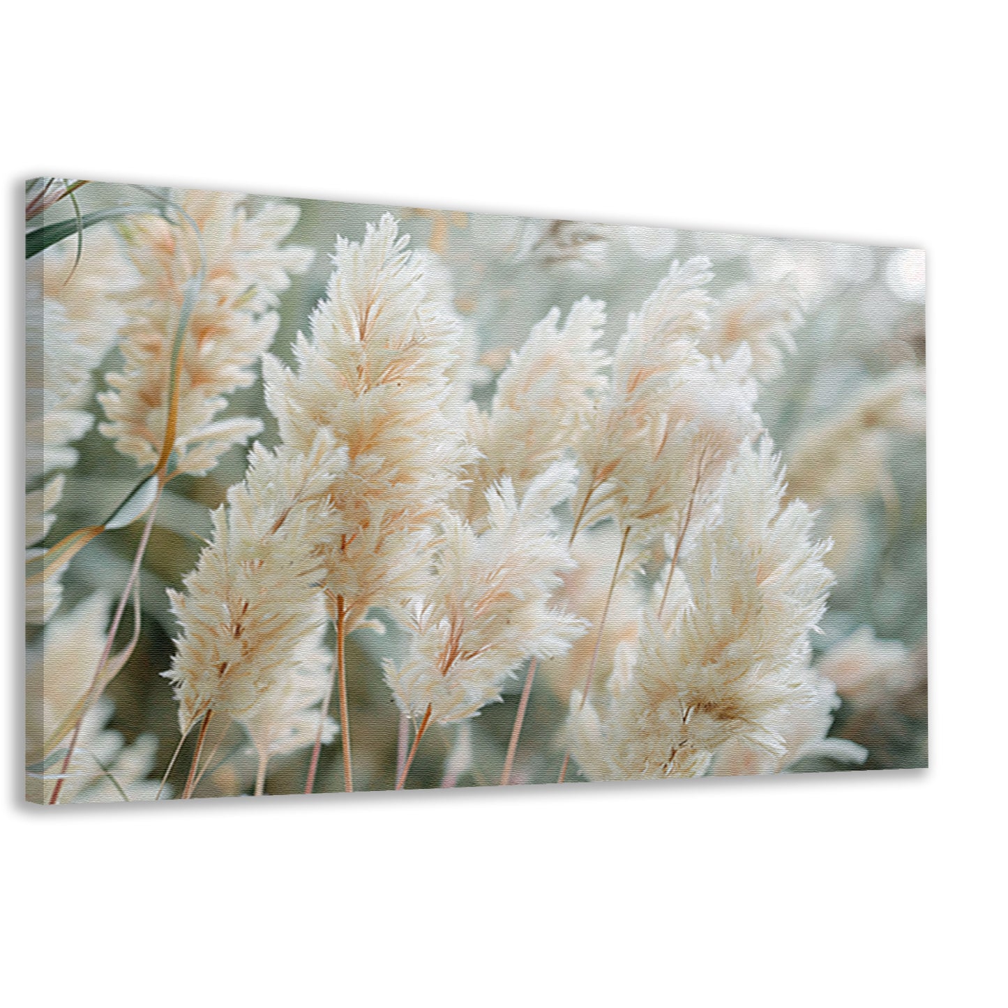 Zachte pluimen in een serene omgeving canvas