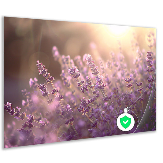 Betoverende lavendelvelden badend in zonlicht poster