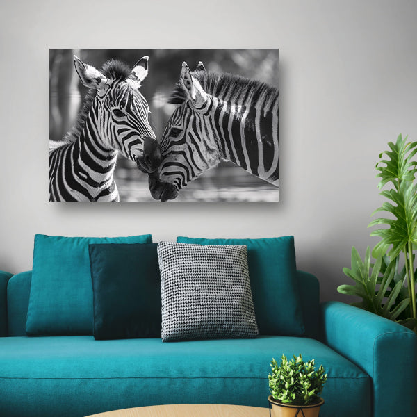 Intiem moment tussen twee zebras canvas
