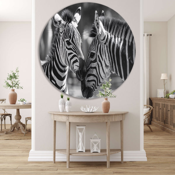 Intiem moment tussen twee zebras aluminium muurcirkel