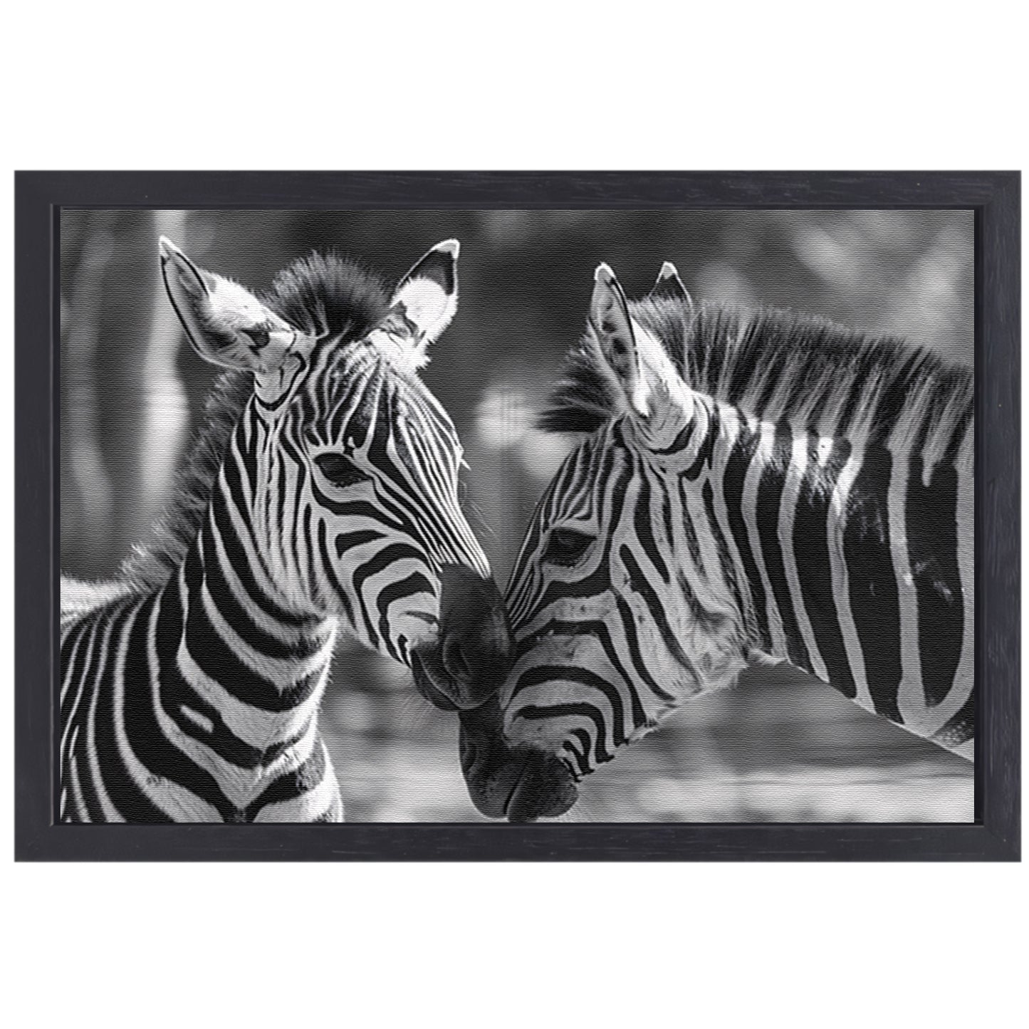 Intiem moment tussen twee zebras canvas met baklijst