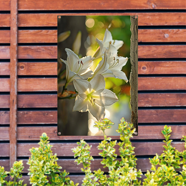 Witte lelies in de zomerzon tuinposter