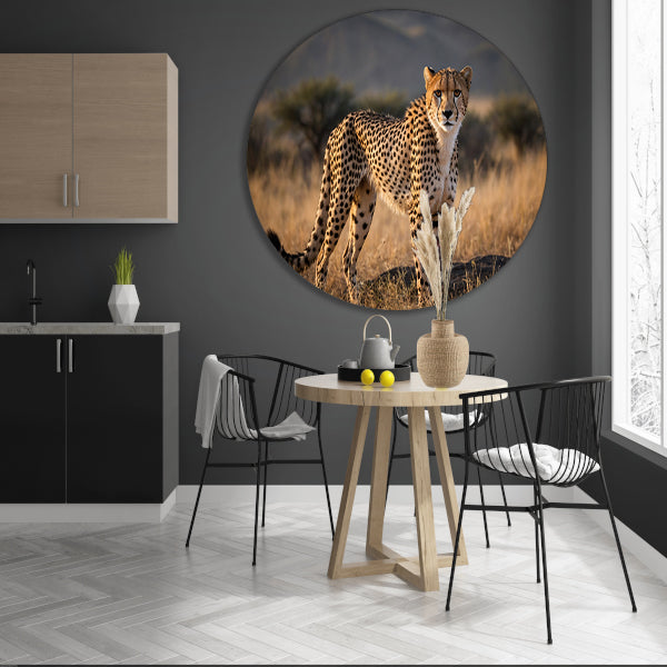Prachtige cheeta in zijn natuurlijke omgeving forex muurcirkel