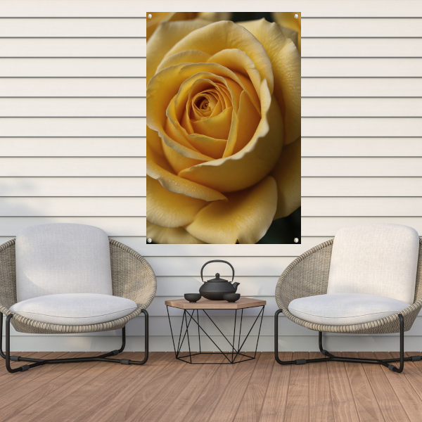 Close-up Gele Roos met Dauwdruppels tuinposter