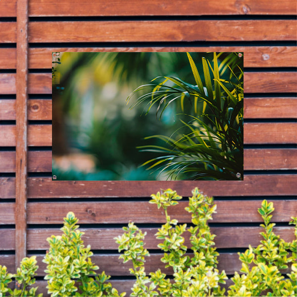 Natuurlijke groene bladeren in zachte focus tuinposter