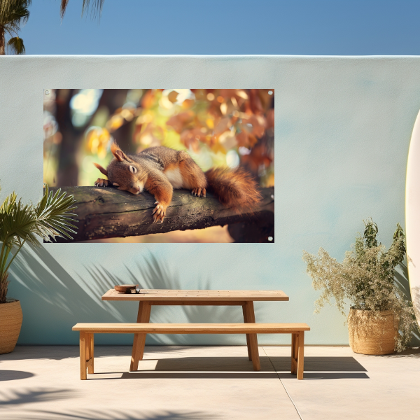 Eekhoorn geniet van herfstige rust tuinposter