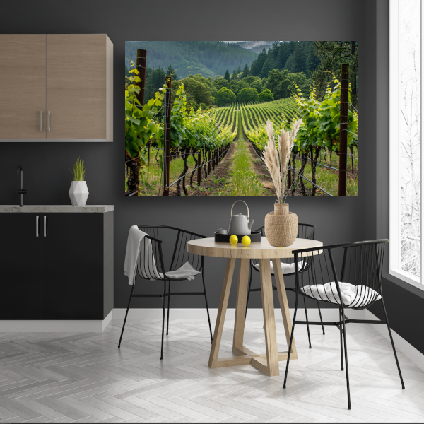 Wijngaard in de vallei met ochtendmist canvas